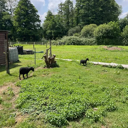 Penzion D'hotes A Louer Le Mans Circuit 24h
